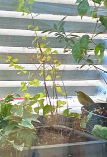 【今年初めてのお客さま】
本年もよろしくお願いいたします