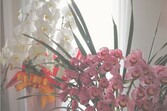 会社設立のご挨拶